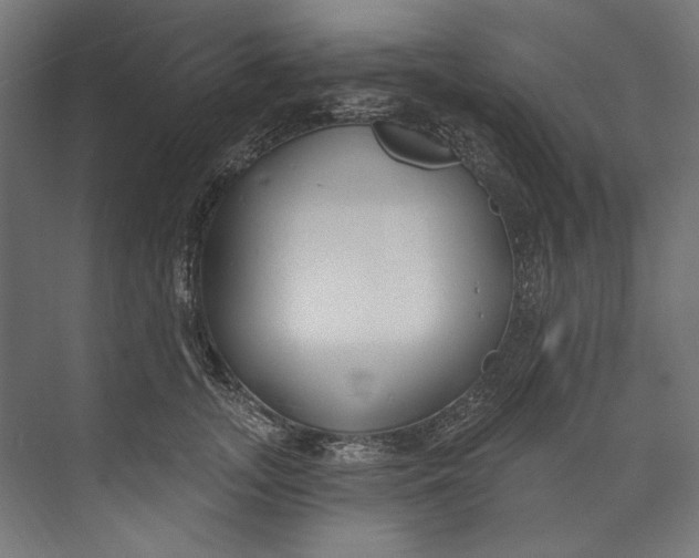 X0000073710755200608241443