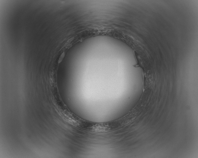 X0000073710756200608241443