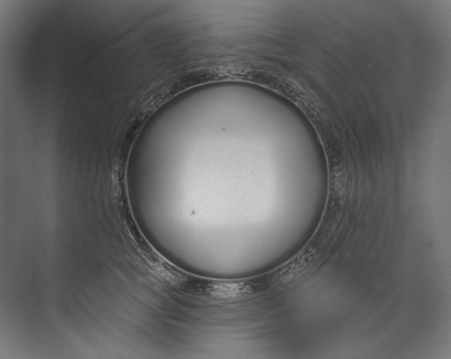 X0000073710757200608241443