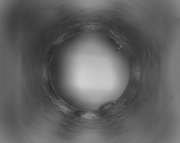 X0000073710759200608241443