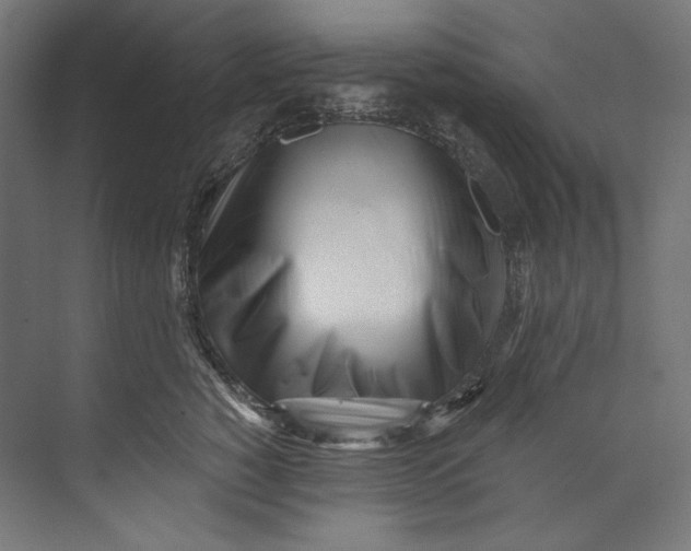 X0000073710760200608241443