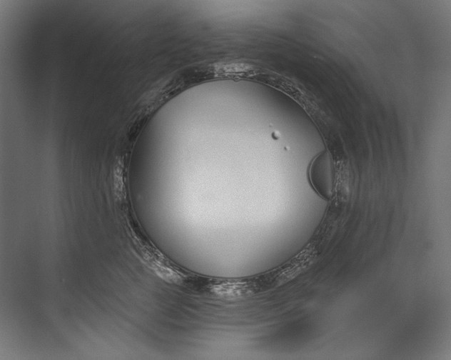 X0000073710761200608241443