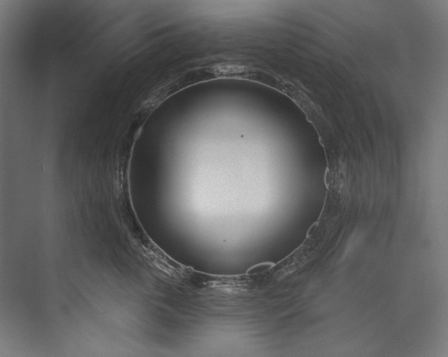 X0000073710763200608241443