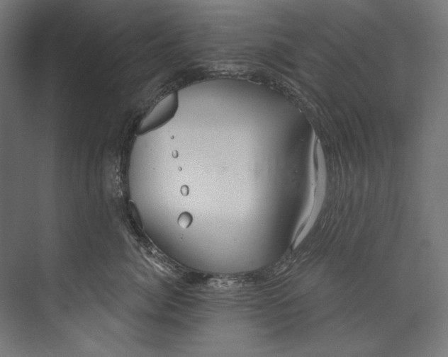 X0000073710764200608241443