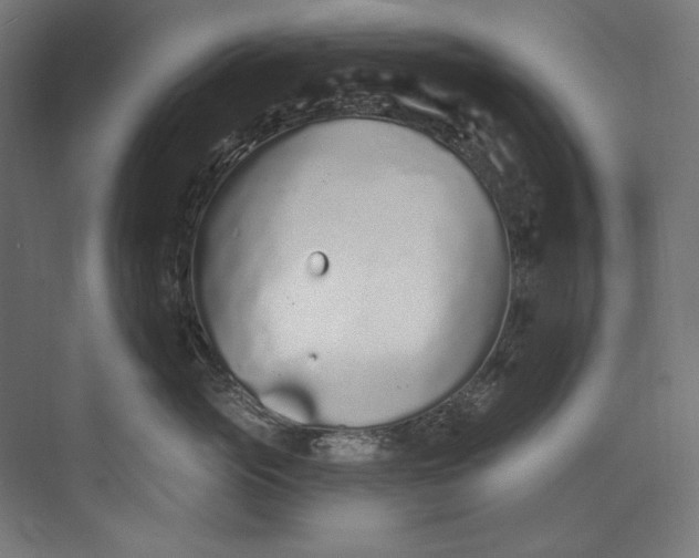 X0000073710765200608241443