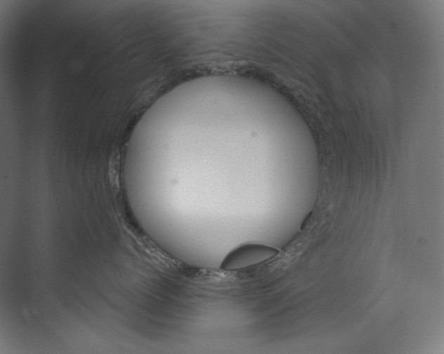 X0000073710768200608241443