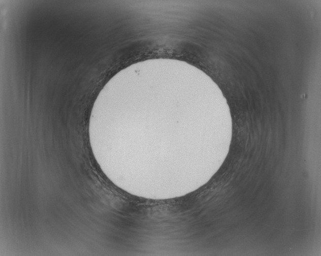 X0000073710769200608241442