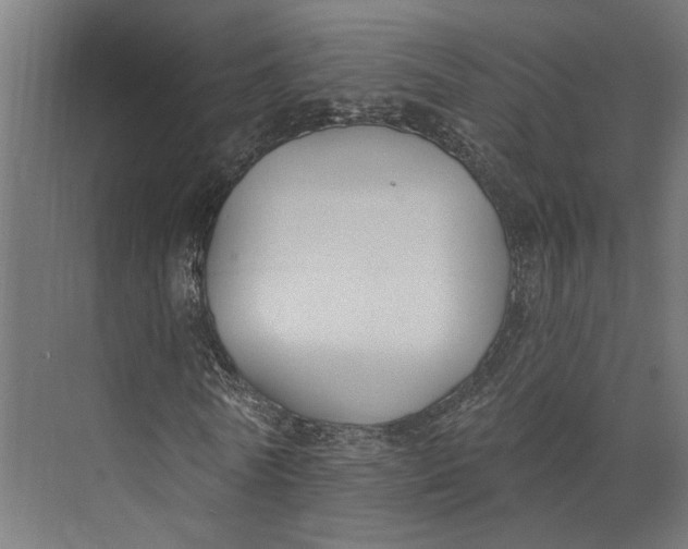 X0000073710770200608241442