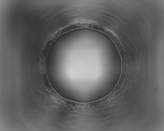 X0000073710775200608241442