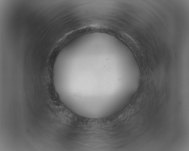 X0000073710776200608241442