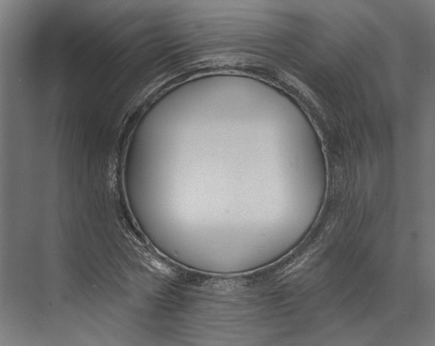 X0000073710778200608241442