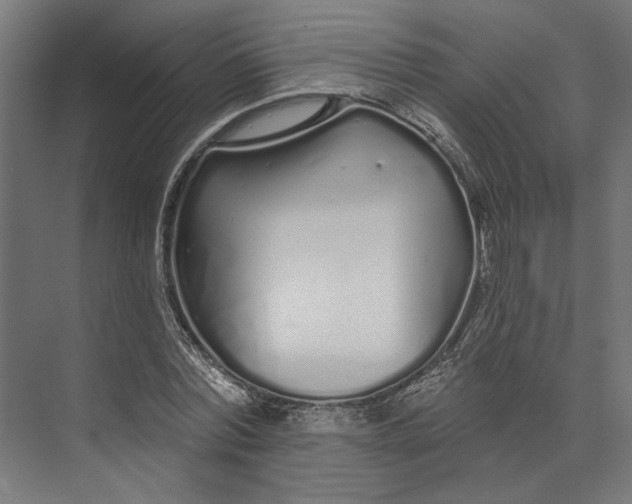 X0000073710780200608241442