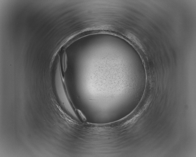 X0000073710781200608241442