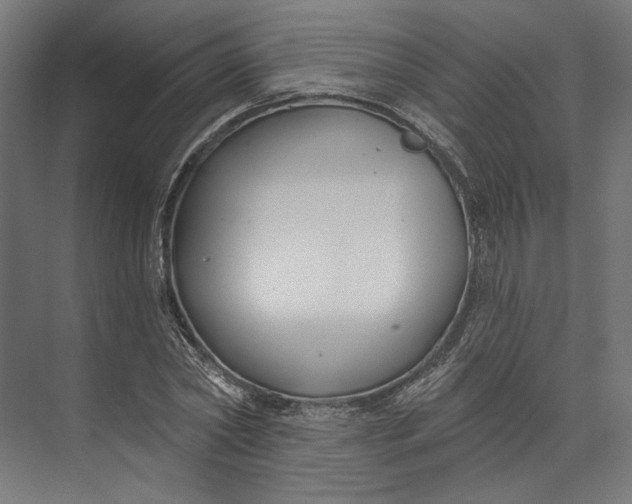 X0000073710782200608241442