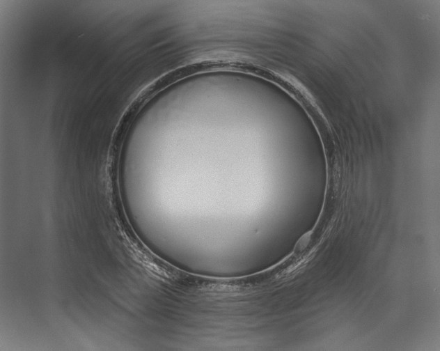 X0000073710783200608241442