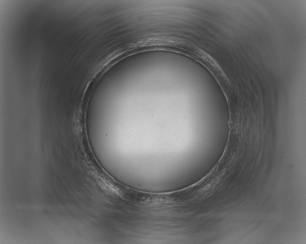 X0000073710786200608241442