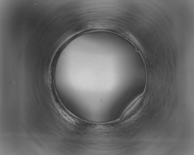 X0000073710787200608241442