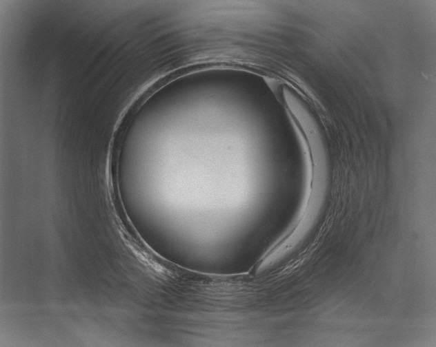 X0000073710788200608241442