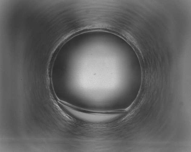 X0000073710789200608241442