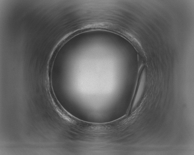 X0000073710792200608241442