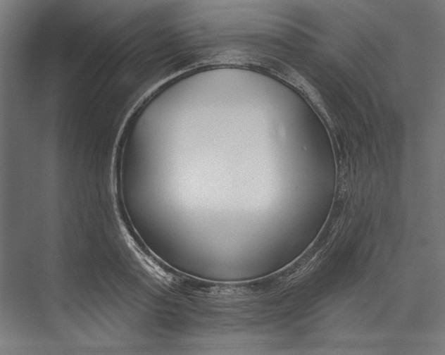 X0000073710795200608241442