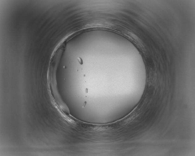 X0000073710796200608241442