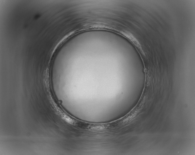 X0000073710798200608241442