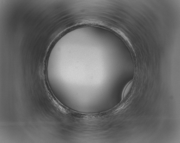 X0000073710799200608241441