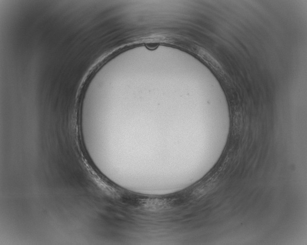 X0000073710800200608241441