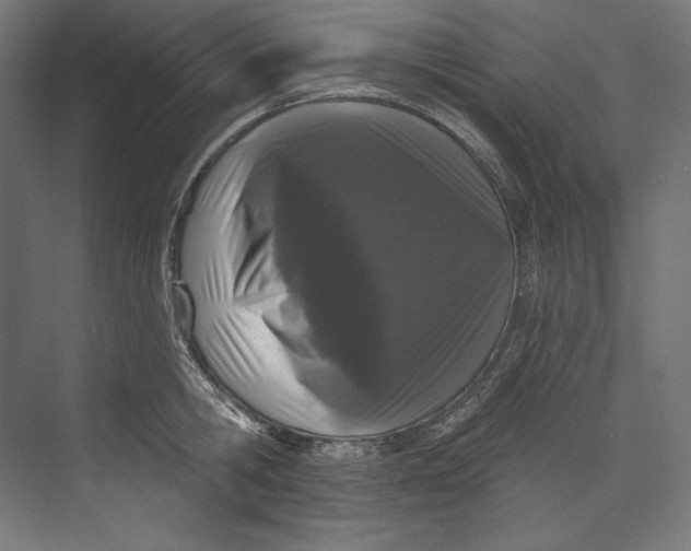 X0000073710806200608241441