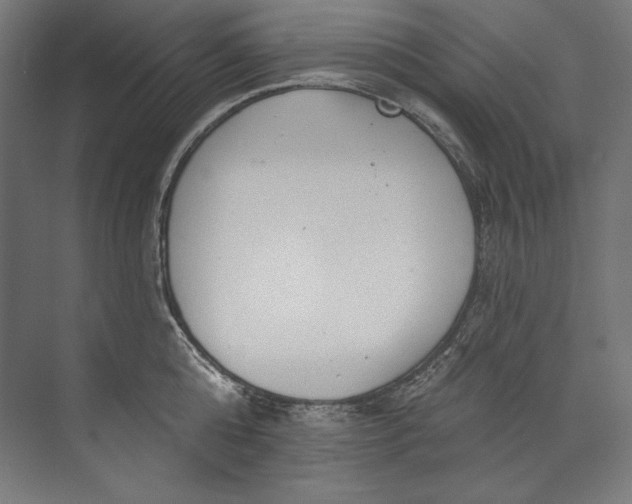 X0000073710808200608241441