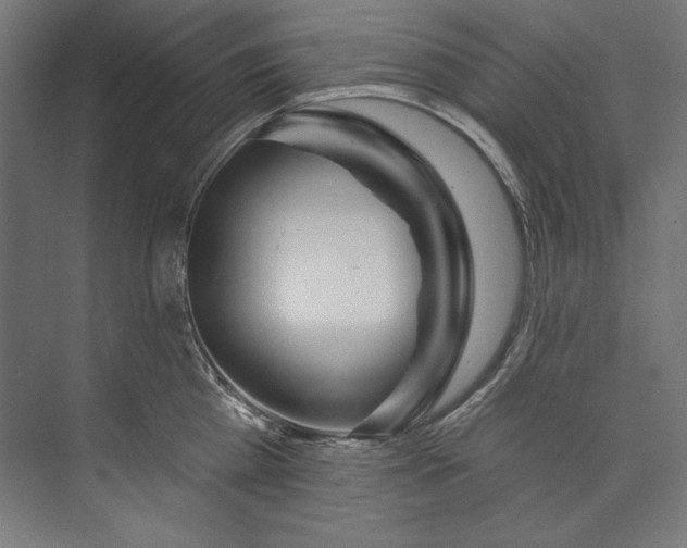 X0000073710809200608241441