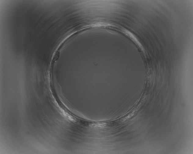 X0000073710810200608241441