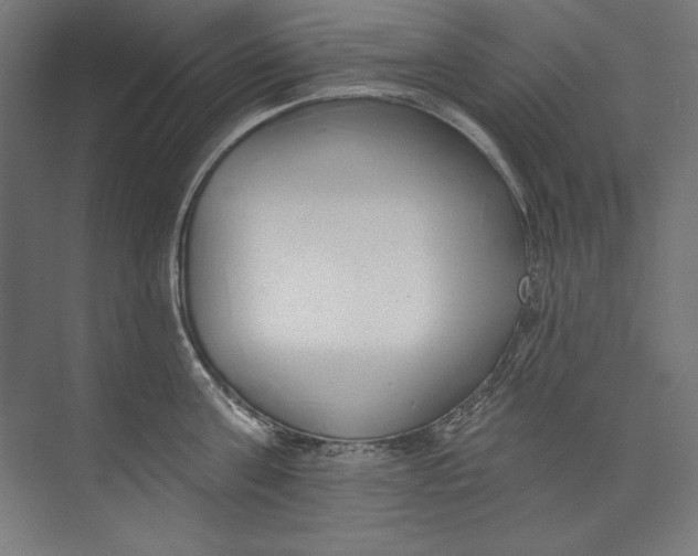 X0000073710811200608241441