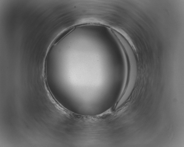 X0000073710815200608241441