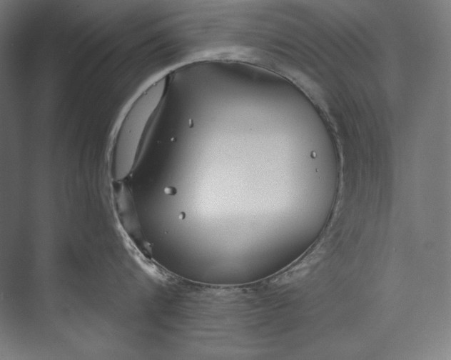 X0000073710816200608241441