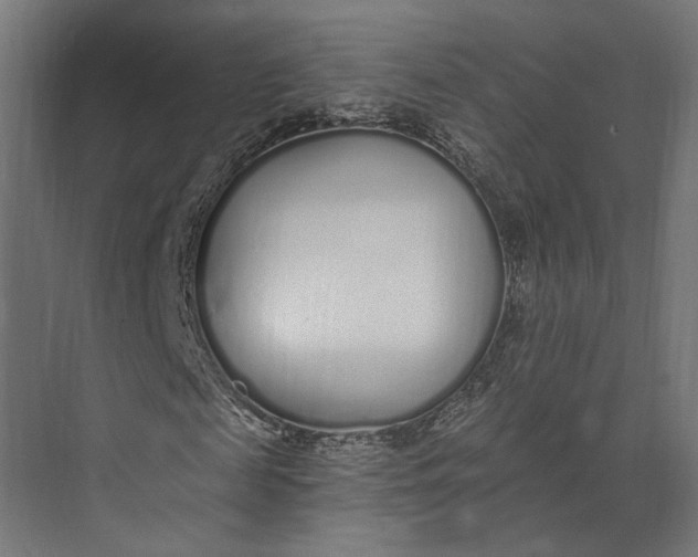 X0000073710817200608241440