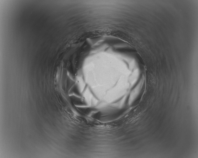 X0000073710818200608241440