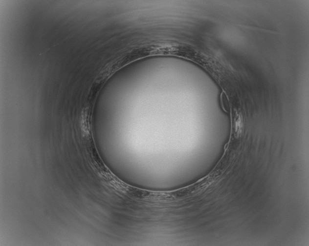 X0000073710819200608241440