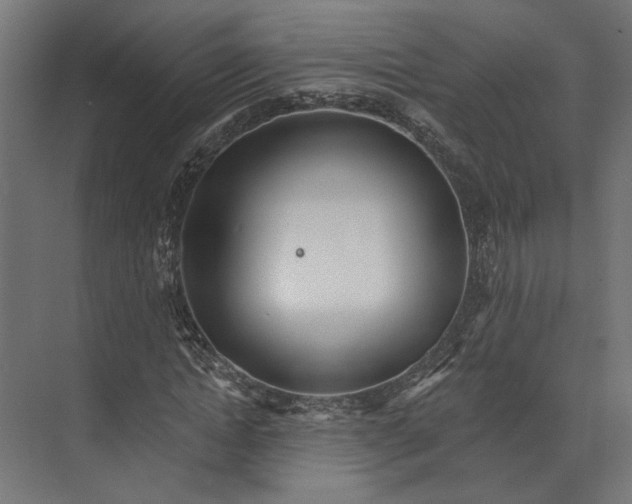 X0000073710822200608241440