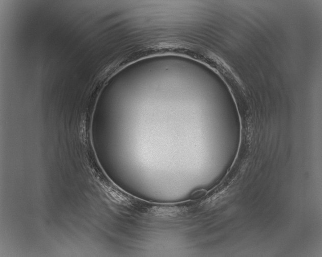 X0000073710825200608241441