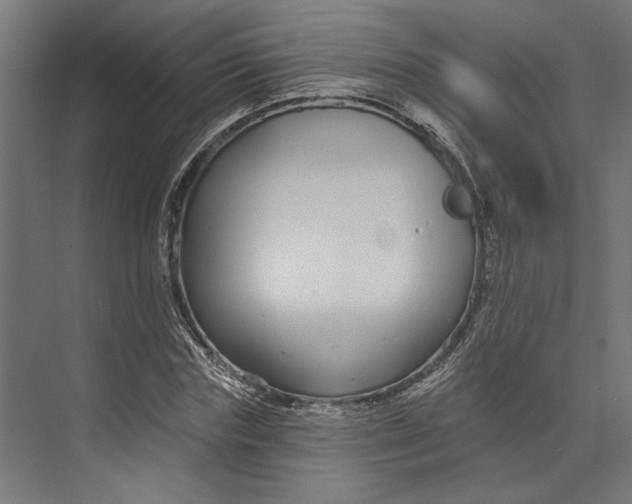 X0000073710827200608241441