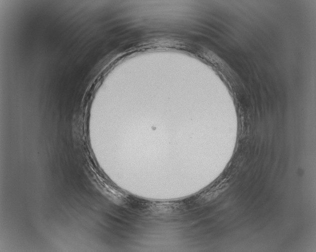 X0000073710828200608241441