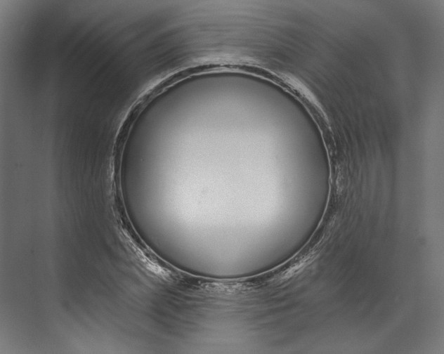 X0000073710831200608241441