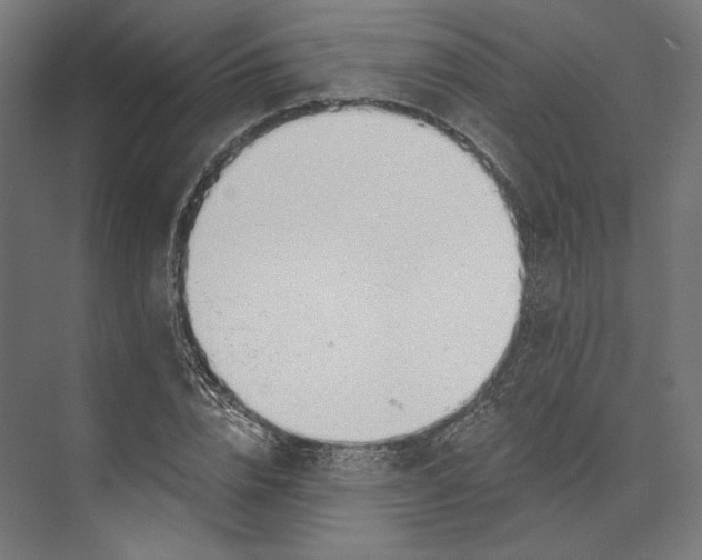 X0000073710832200608241441