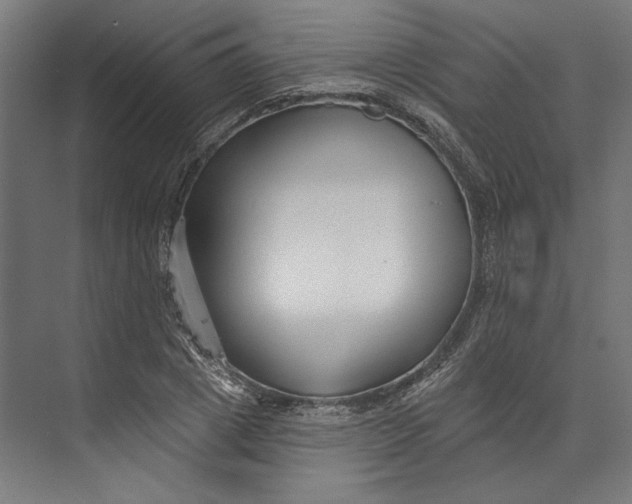 X0000073710833200608241441