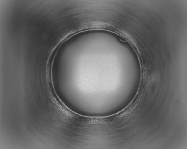 X0000073710835200608241441