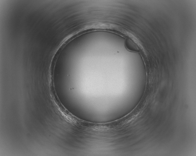 X0000073710837200608241441