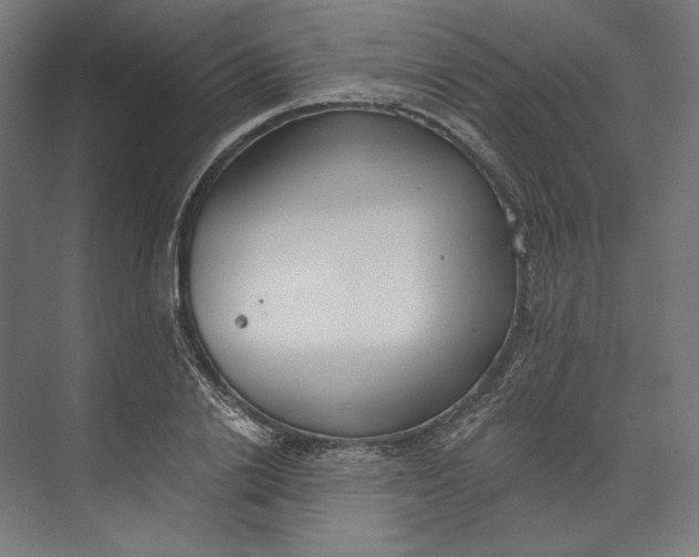 X0000073710838200608241441