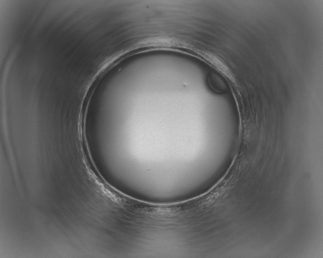 X0000073710839200608241441